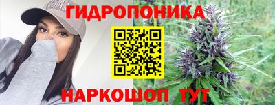 первитин Гусев