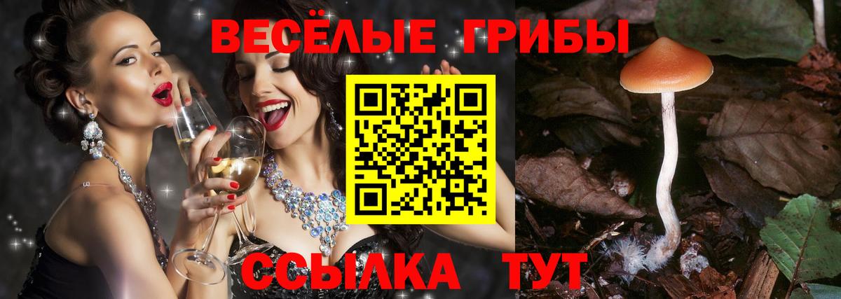 Галлюциногенные грибы ЛСД  Вход с VPN  Междуреченск 