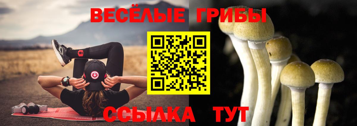 Галлюциногенные грибы Magic Shrooms Междуреченск